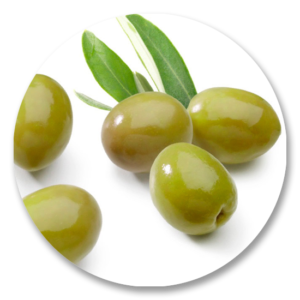 Olive shower gel